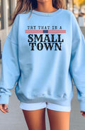 Try That In A Small Town Blue Sweatshirt
