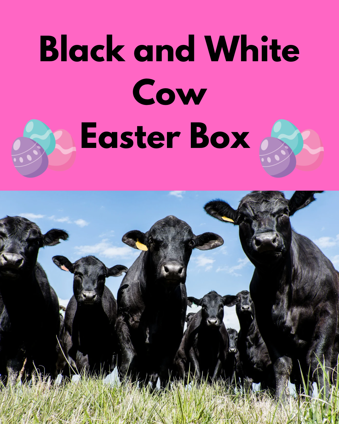 LIMITED EDITION BLACK AND WHITE COW EASTER BASKET BOX!