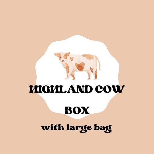TIK TOK VIRAL HIGHLAND COW BOX OF THE MONTH