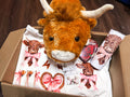Highland Cow Valentine Box