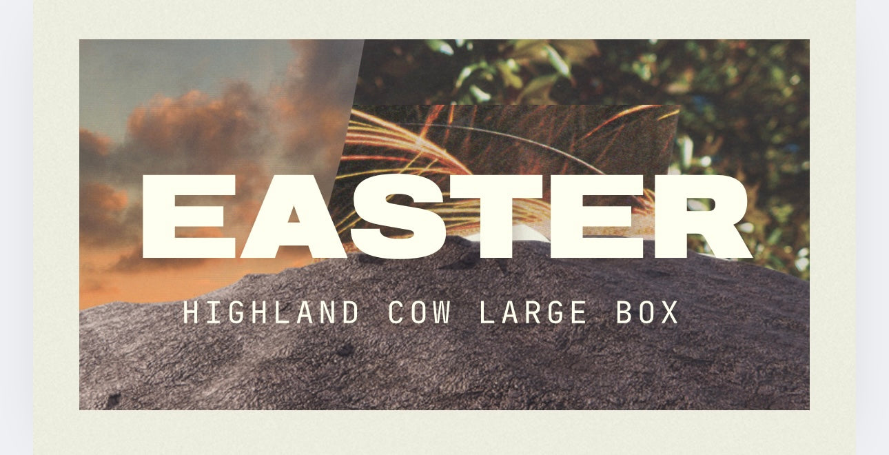 Easter Highland Cow Box with bag