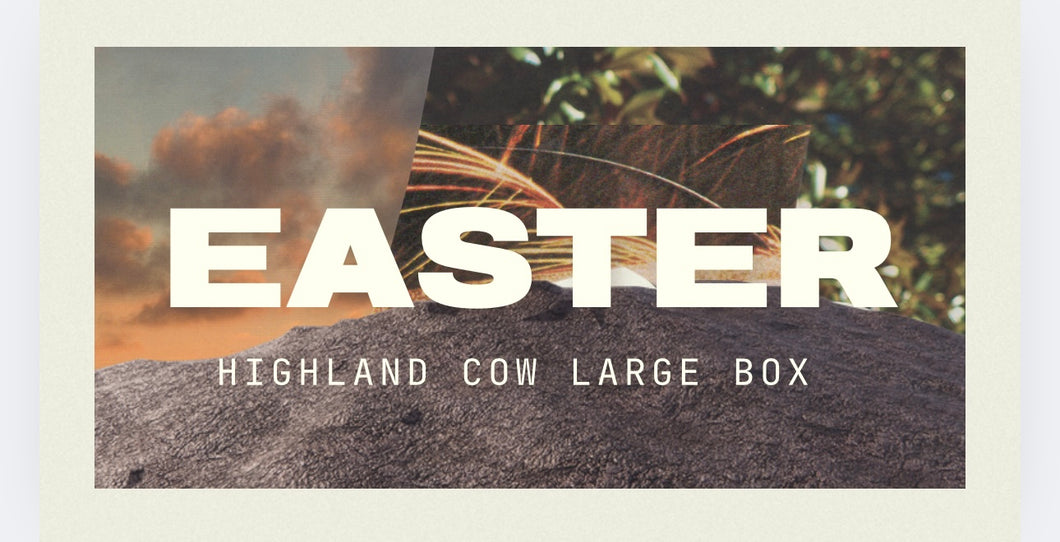 Easter Highland Cow Box with bag